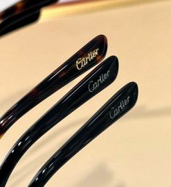 Picture of Cartier Optical Glasses _SKUfw48204526fw